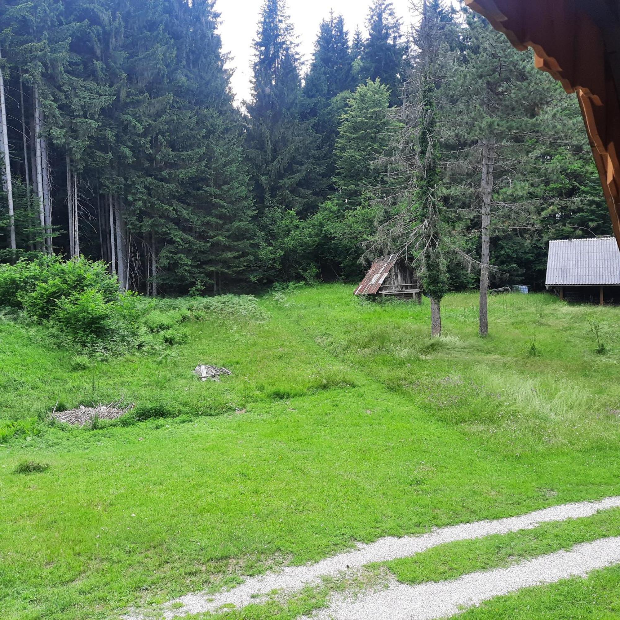 Koca V Gozdu, Forest House Near Bled Exterior foto
