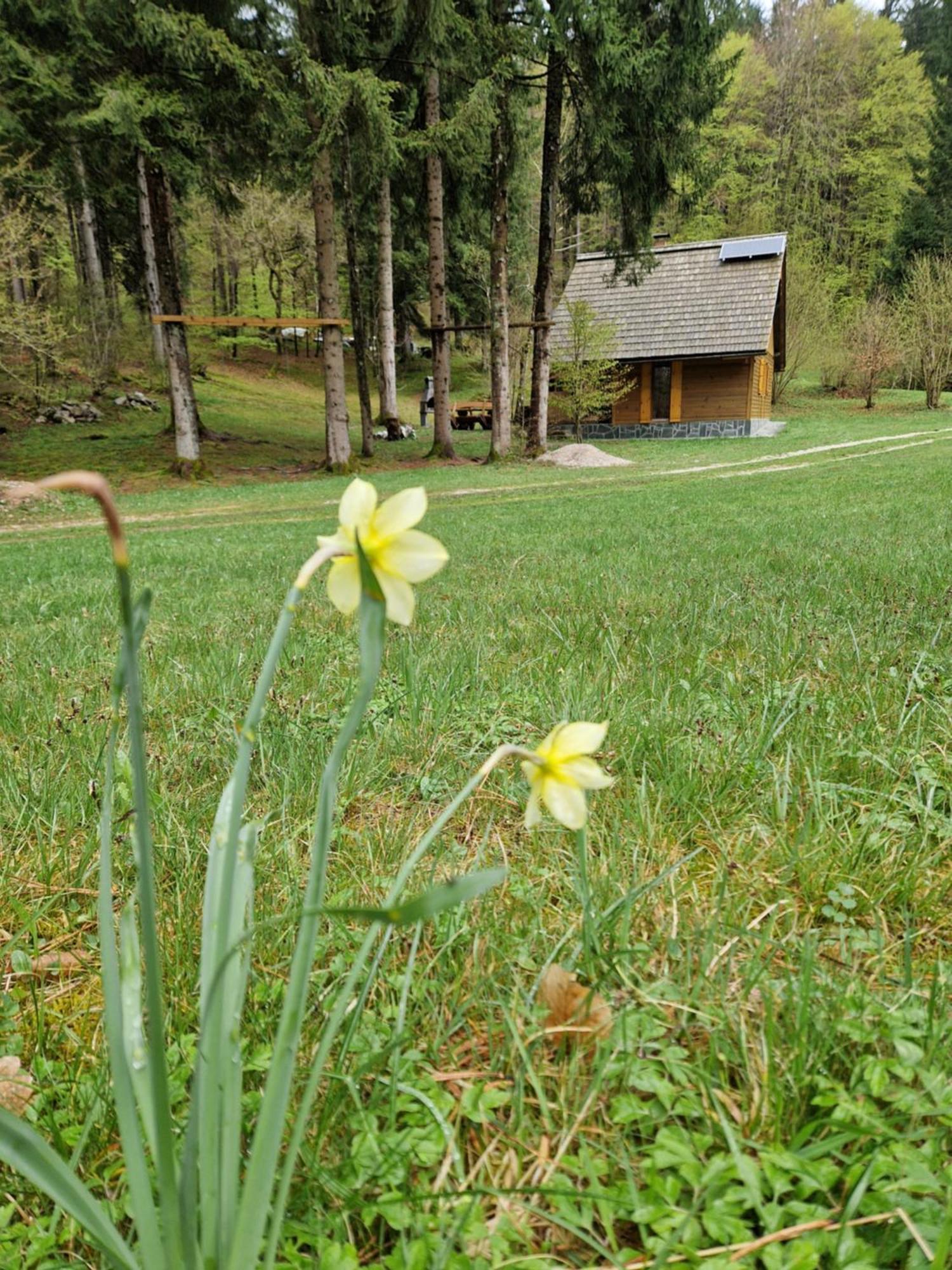 Koca V Gozdu, Forest House Near Bled Quarto foto
