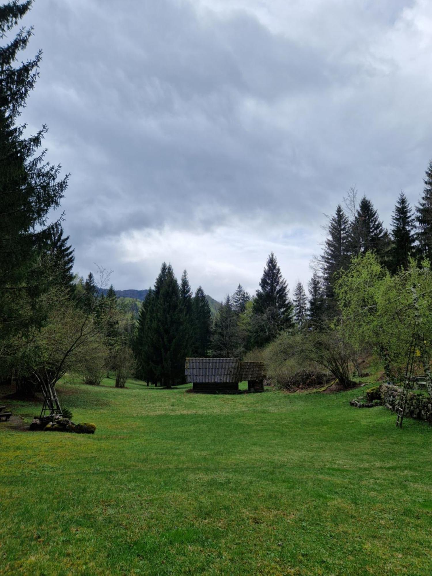Koca V Gozdu, Forest House Near Bled Quarto foto